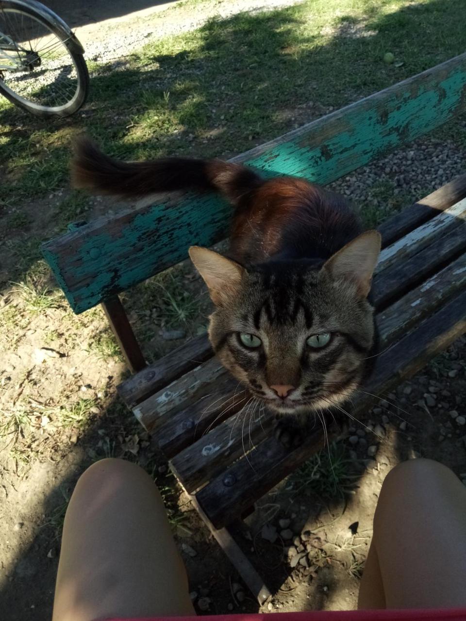 U Vili Ξενοδοχείο Πιτσούντα Εξωτερικό φωτογραφία
